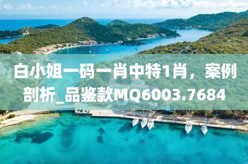 白小姐一码一肖中特1肖，案例剖析_品鉴款MQ6003.7684