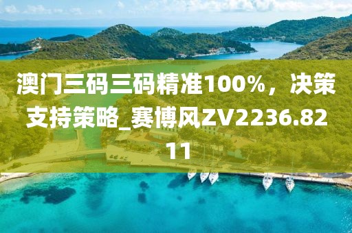 澳门三码三码精准100%，决策支持策略_赛博风ZV2236.8211