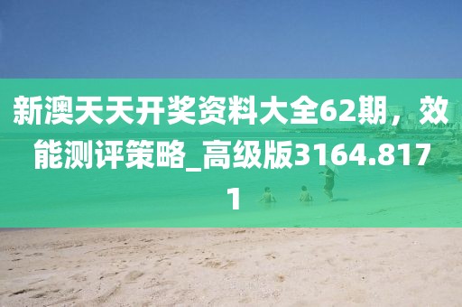 新澳天天开奖资料大全62期，效能测评策略_高级版3164.8171