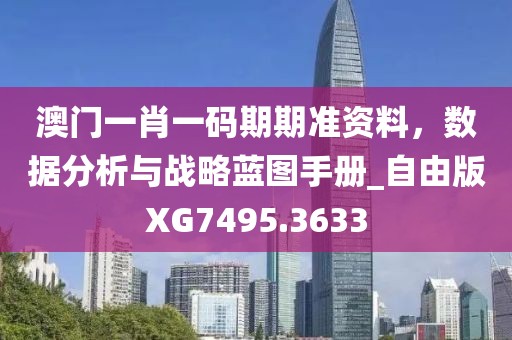 澳门一肖一码期期准资料，数据分析与战略蓝图手册_自由版XG7495.3633