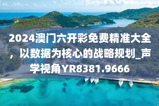 2024澳门六开彩免费精准大全，以数据为核心的战略规划_声学视角YR8381.9666