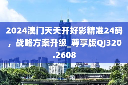 2024澳门天天开好彩精准24码，战略方案升级_尊享版QJ320.2608