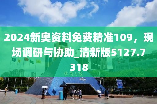 2024新奥资料免费精准109，现场调研与协助_清新版5127.7318