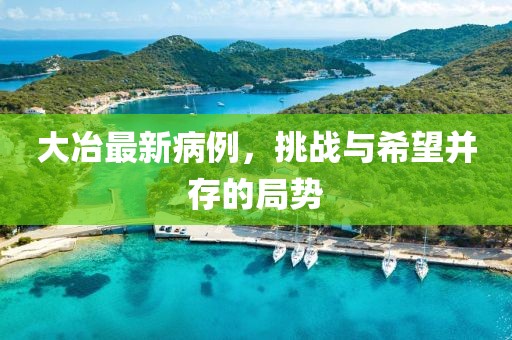 大冶最新病例，挑战与希望并存的局势