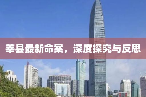 莘县最新命案，深度探究与反思