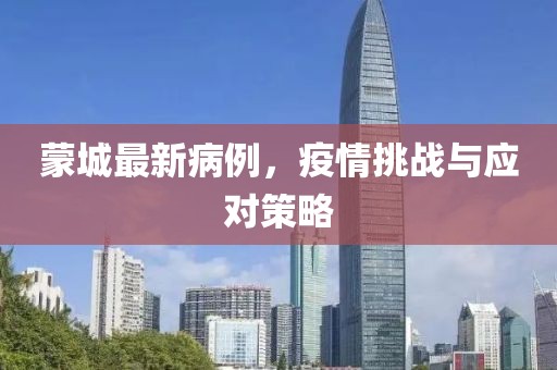 蒙城最新病例，疫情挑战与应对策略