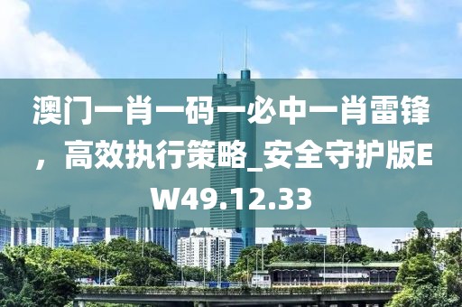 澳门一肖一码一必中一肖雷锋，高效执行策略_安全守护版EW49.12.33