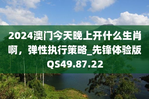 2024澳门今天晚上开什么生肖啊，弹性执行策略_先锋体验版QS49.87.22