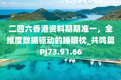 二四六香港资料期期准一，全维度数据驱动的睡眠枕_共鸣篇PJ73.91.66