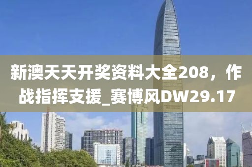 新澳天天开奖资料大全208，作战指挥支援_赛博风DW29.17