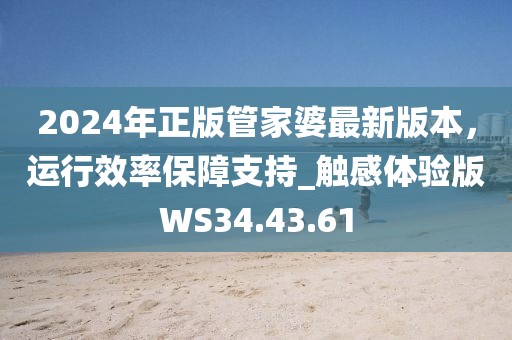 2024年正版管家婆最新版本，运行效率保障支持_触感体验版WS34.43.61