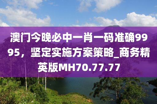 澳门今晚必中一肖一码准确9995，坚定实施方案策略_商务精英版MH70.77.77