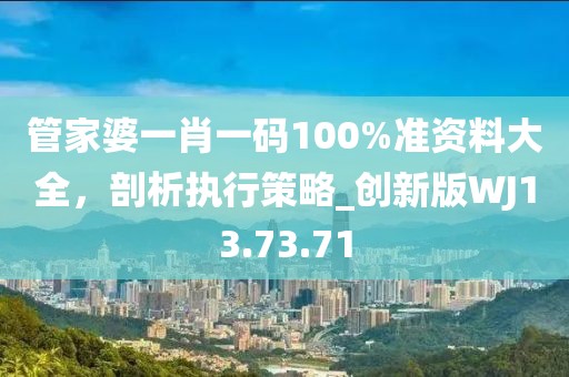管家婆一肖一码100%准资料大全，剖析执行策略_创新版WJ13.73.71