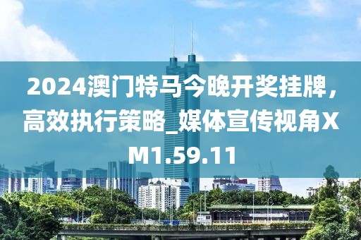 2024澳门特马今晚开奖挂牌，高效执行策略_媒体宣传视角XM1.59.11