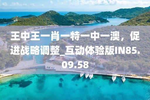 王中王一肖一特一中一澳，促进战略调整_互动体验版IN85.09.58