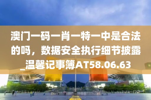 澳门一码一肖一特一中是合法的吗，数据安全执行细节披露_温馨记事簿AT58.06.63