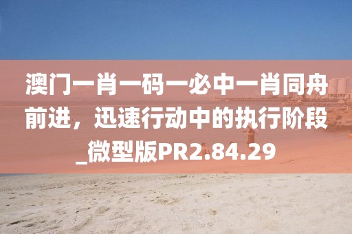 澳门一肖一码一必中一肖同舟前进，迅速行动中的执行阶段_微型版PR2.84.29