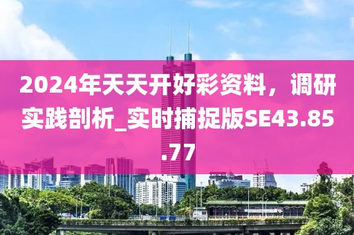 2024年天天开好彩资料，调研实践剖析_实时捕捉版SE43.85.77
