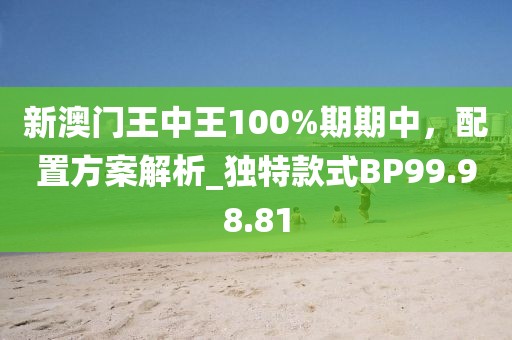 新澳门王中王100%期期中，配置方案解析_独特款式BP99.98.81