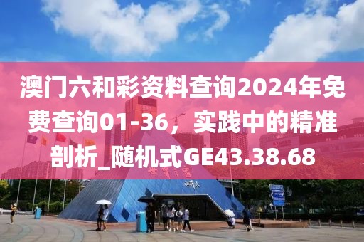 澳门六和彩资料查询2024年免费查询01-36，实践中的精准剖析_随机式GE43.38.68