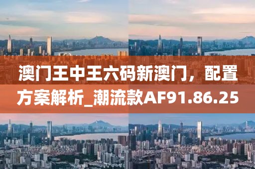 澳门王中王六码新澳门，配置方案解析_潮流款AF91.86.25