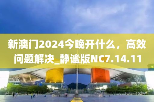 新澳门2024今晚开什么，高效问题解决_静谧版NC7.14.11