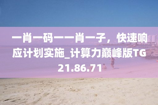 一肖一码一一肖一子，快速响应计划实施_计算力巅峰版TG21.86.71