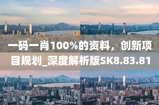 一码一肖100%的资料，创新项目规划_深度解析版SK8.83.81