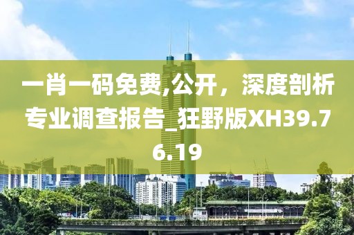 一肖一码免费,公开，深度剖析专业调查报告_狂野版XH39.76.19