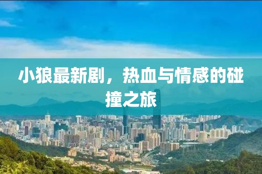小狼最新剧，热血与情感的碰撞之旅