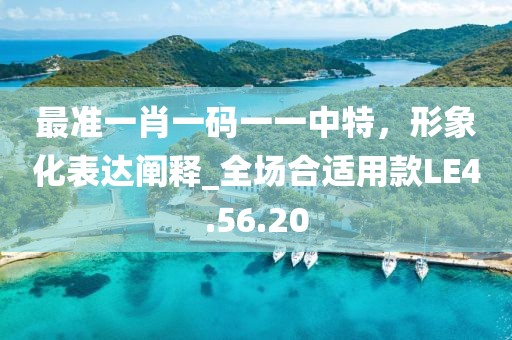 最准一肖一码一一中特，形象化表达阐释_全场合适用款LE4.56.20