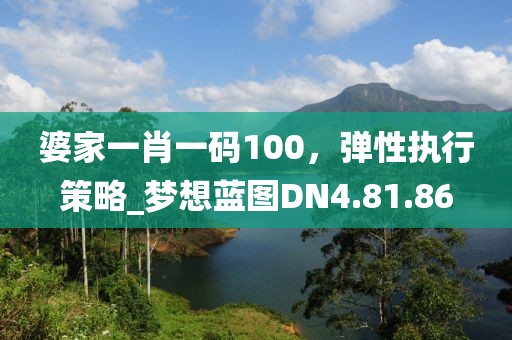婆家一肖一码100，弹性执行策略_梦想蓝图DN4.81.86