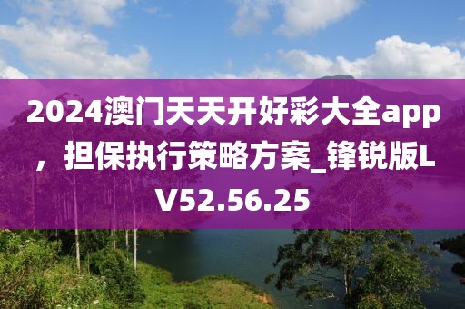2024澳门天天开好彩大全app，担保执行策略方案_锋锐版LV52.56.25