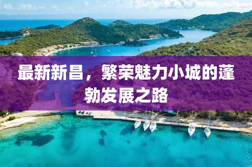 最新新昌，繁荣魅力小城的蓬勃发展之路