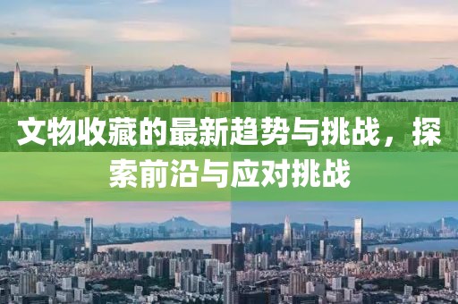 文物收藏的最新趋势与挑战，探索前沿与应对挑战