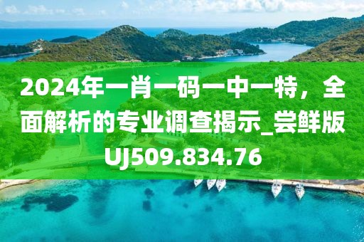 2024年一肖一码一中一特，全面解析的专业调查揭示_尝鲜版UJ509.834.76