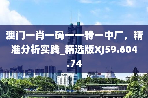 澳门一肖一码一一特一中厂，精准分析实践_精选版XJ59.604.74