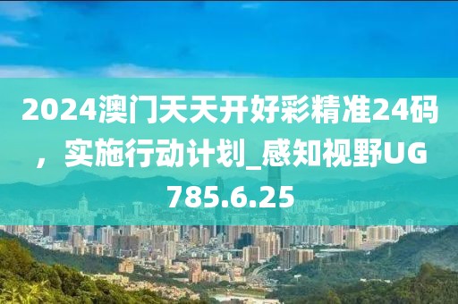 2024澳门天天开好彩精准24码，实施行动计划_感知视野UG785.6.25