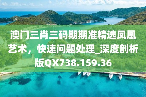澳门三肖三码期期准精选凤凰艺术，快速问题处理_深度剖析版QX738.159.36