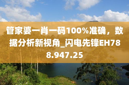 管家婆一肖一码100%准确，数据分析新视角_闪电先锋EH788.947.25