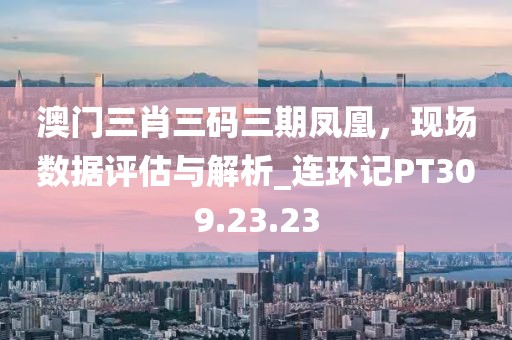 澳门三肖三码三期凤凰，现场数据评估与解析_连环记PT309.23.23