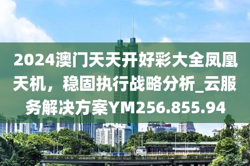 2024澳门天天开好彩大全凤凰天机，稳固执行战略分析_云服务解决方案YM256.855.94