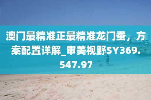 澳门最精准正最精准龙门蚕，方案配置详解_审美视野SY369.547.97