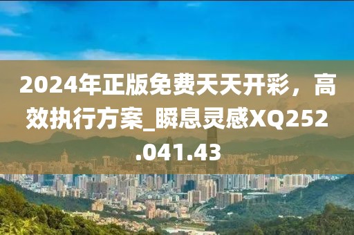 2024年正版免费天天开彩，高效执行方案_瞬息灵感XQ252.041.43