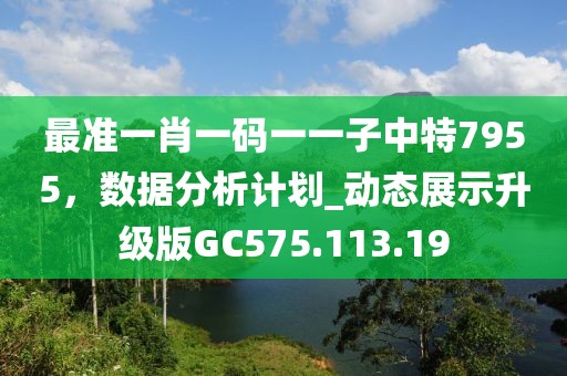 最准一肖一码一一子中特7955，数据分析计划_动态展示升级版GC575.113.19