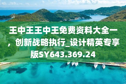 王中王王中王免费资料大全一，创新战略执行_设计精英专享版SY643.369.24