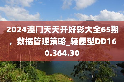 2024澳门天天开好彩大全65期，数据管理策略_轻便型DD160.364.30