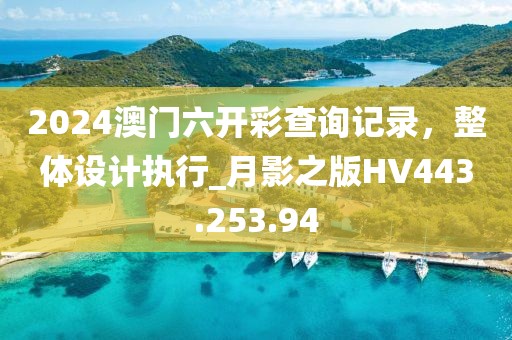 2024澳门六开彩查询记录，整体设计执行_月影之版HV443.253.94