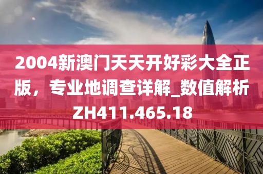 2004新澳门天天开好彩大全正版，专业地调查详解_数值解析ZH411.465.18