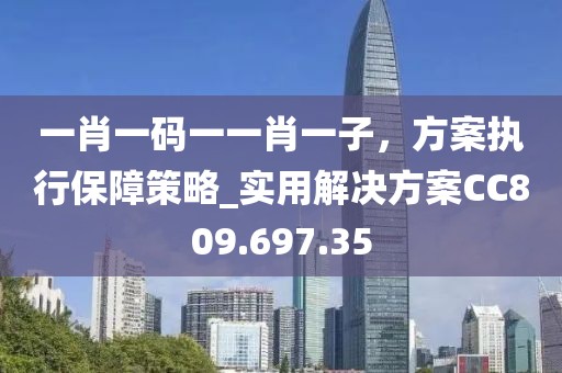 一肖一码一一肖一子，方案执行保障策略_实用解决方案CC809.697.35